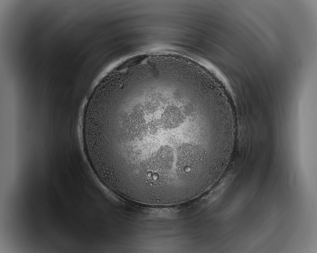 X0000094771429200711161347