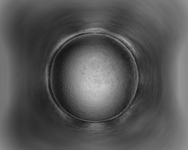 X0000094771430200711161347