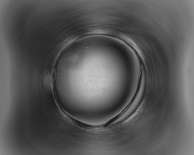X0000094771433200711161347