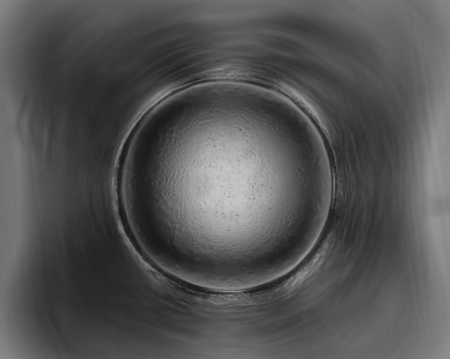 X0000094771434200711161347