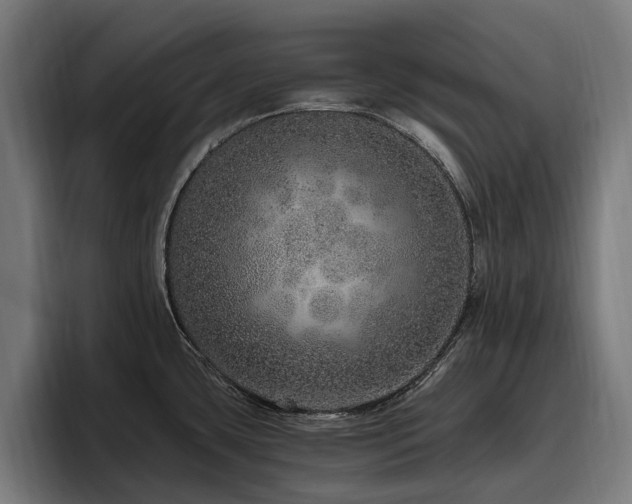 X0000094771435200711161347