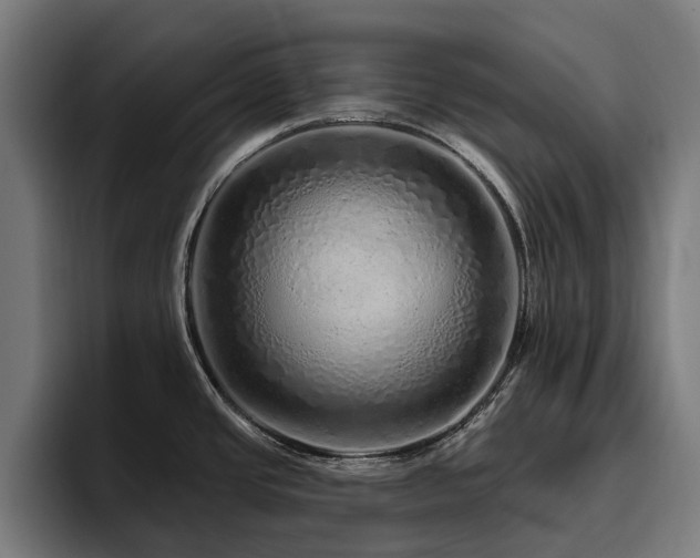 X0000094771437200711161347