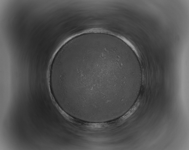 X0000094771438200711161347