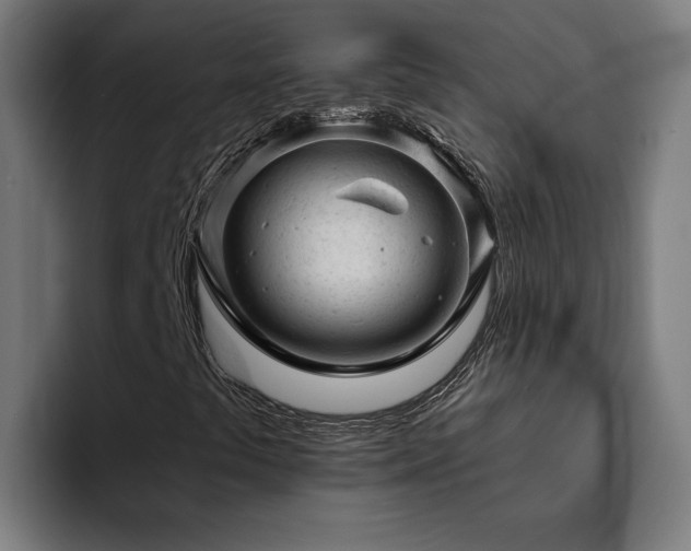 X0000094771441200711161346