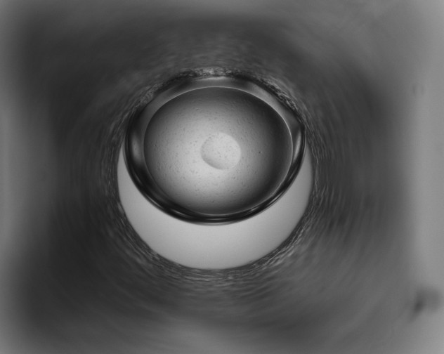 X0000094771444200711161346