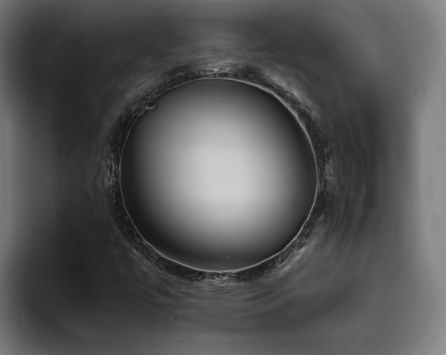 X0000094771447200711161346