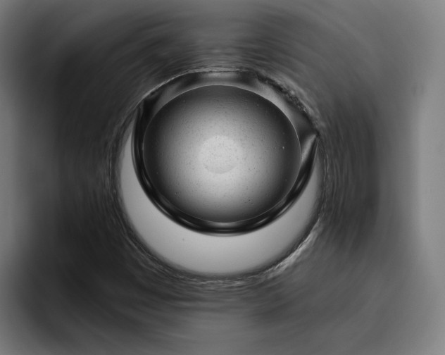 X0000094771449200711161346