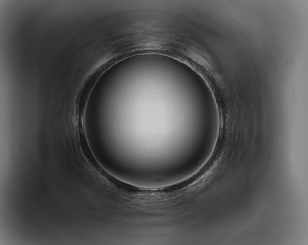 X0000094771450200711161346
