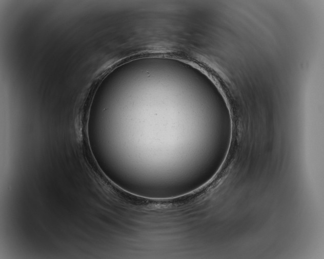 X0000094771451200711161346