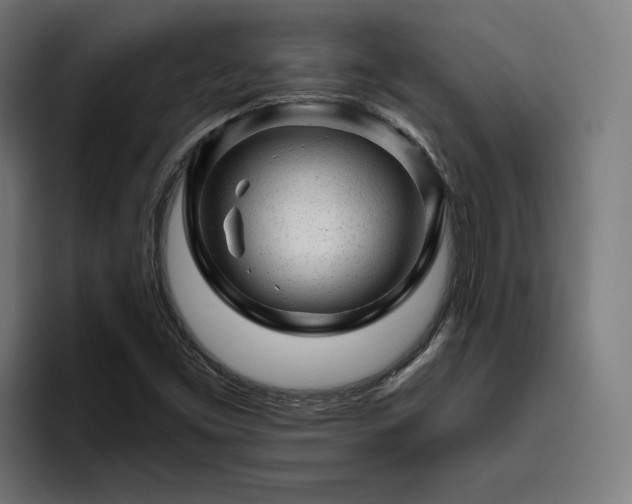X0000094771453200711161346