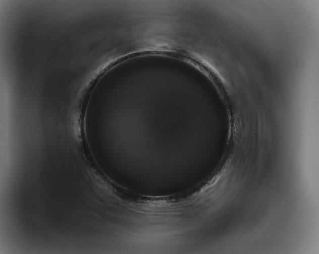 X0000094771455200711161346