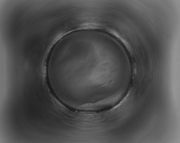 X0000094771459200711161346
