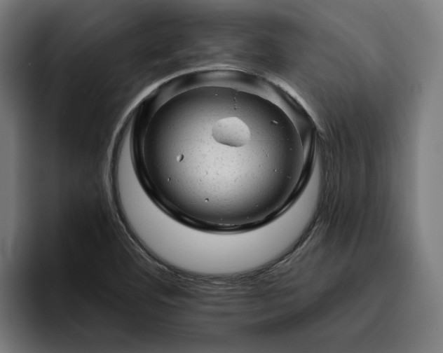 X0000094771460200711161346