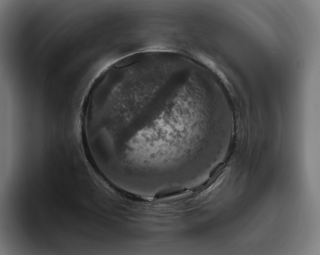 X0000094771463200711161346