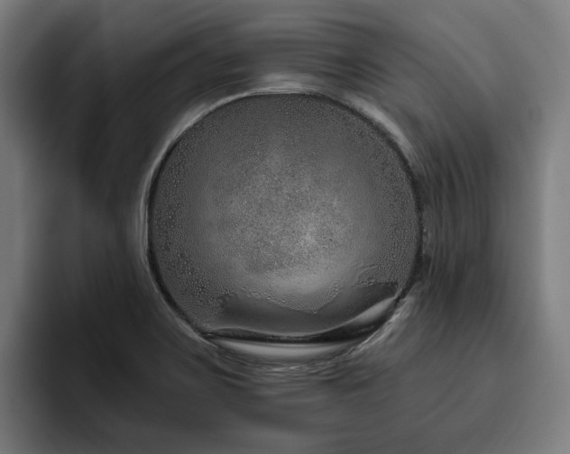 X0000094771467200711161346