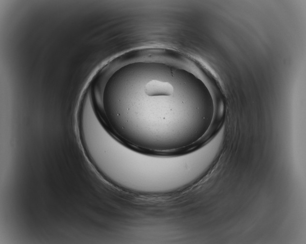 X0000094771468200711161346