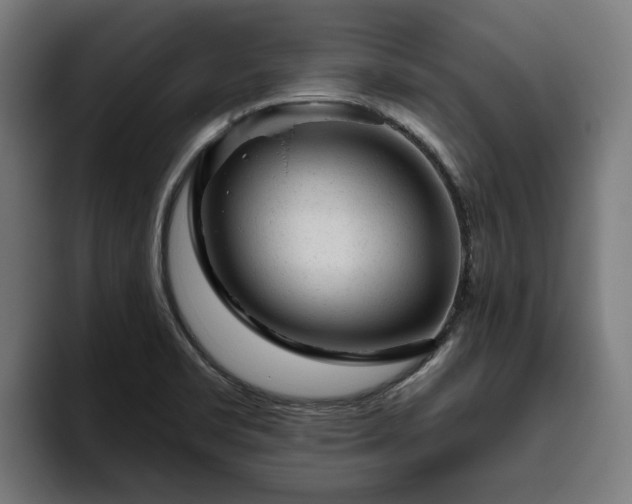 X0000094771469200711161346