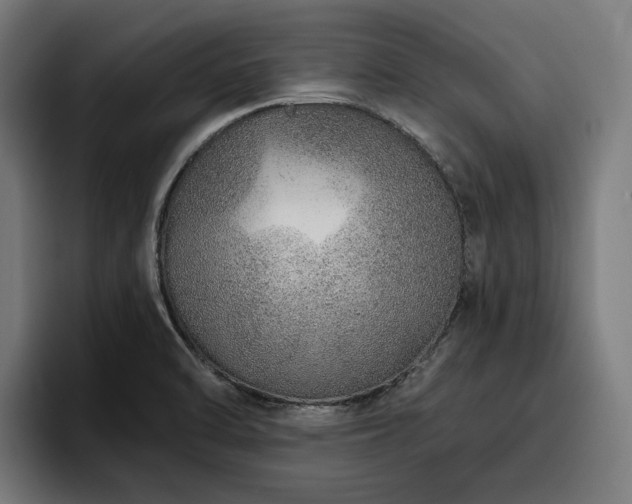 X0000094771470200711161346