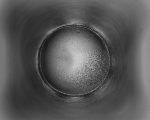 X0000094771471200711161346