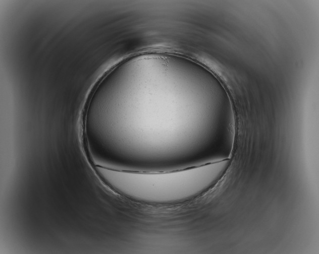 X0000094771474200711161346