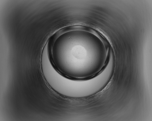X0000094771481200711161346