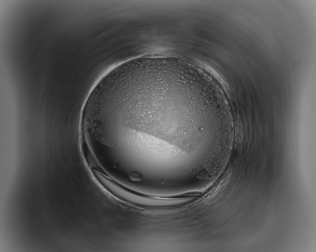 X0000094771487200711161346