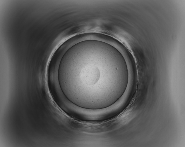 X0000094771488200711161345