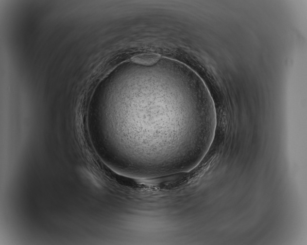X0000094771489200711161345