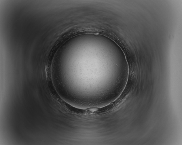 X0000094771490200711161345