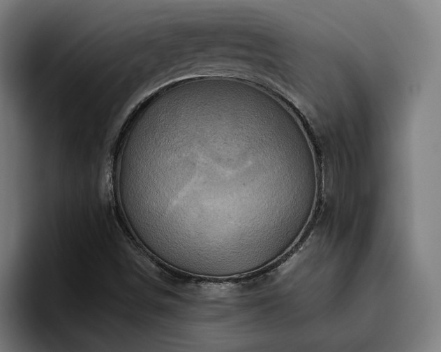 X0000094771498200711161345