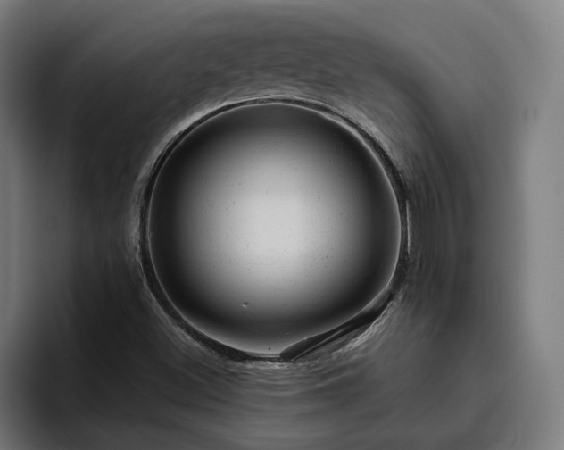 X0000094771500200711161345