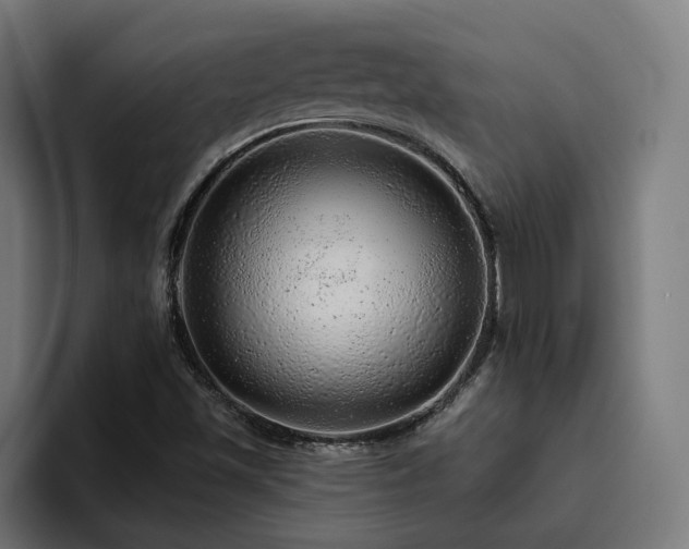X0000094771501200711161345