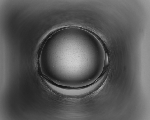 X0000094771502200711161345
