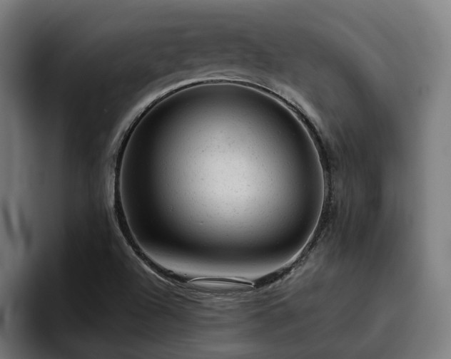 X0000094771504200711161345