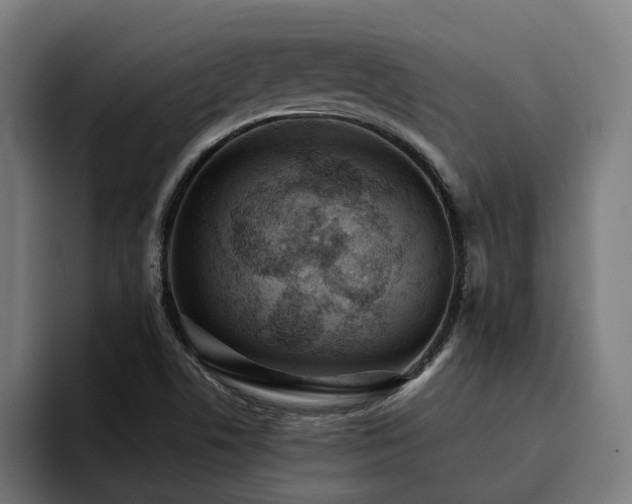 X0000094771506200711161345
