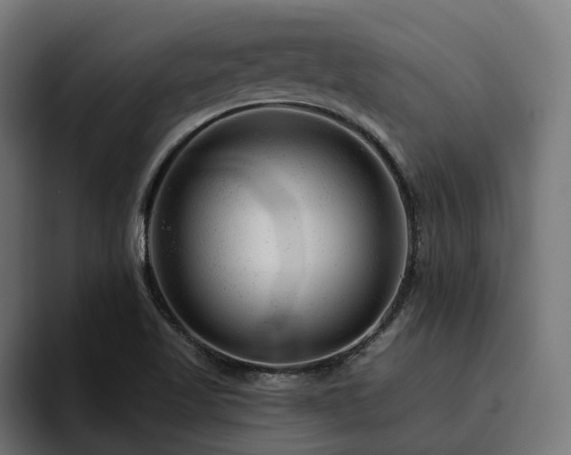 X0000094771509200711161345