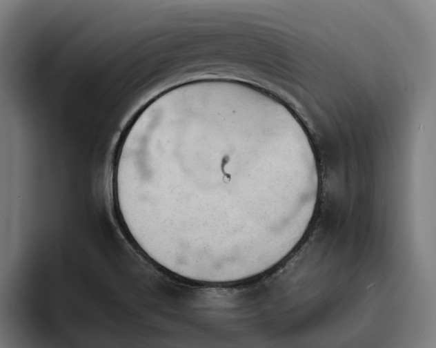 X0000094771514200711161345