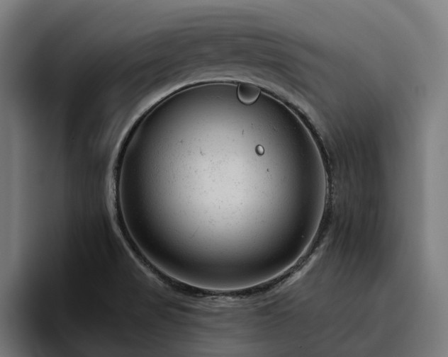 X0000094771517200711161345