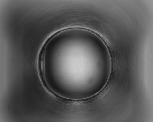 X0000094771519200711161345