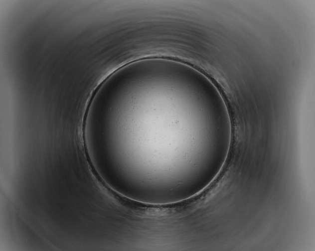 X0000094771521200711161345