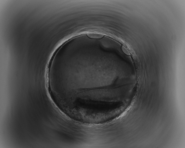 X0000094771522200711161345