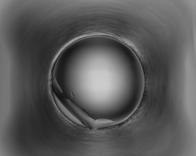 X0000094771524200711161345