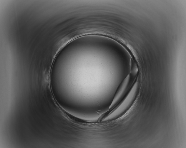 X0000094771529200711161345