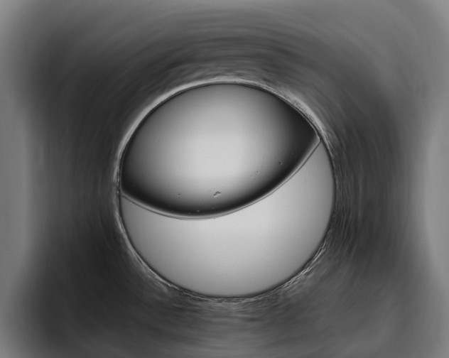 X0000094771532200711161345