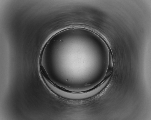 X0000094771533200711161345