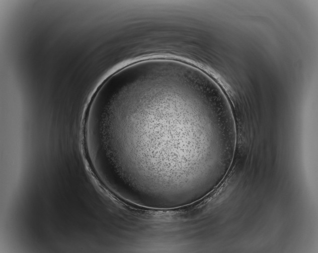 X0000094771534200711161345