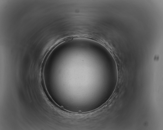 X0000094770002200711241327