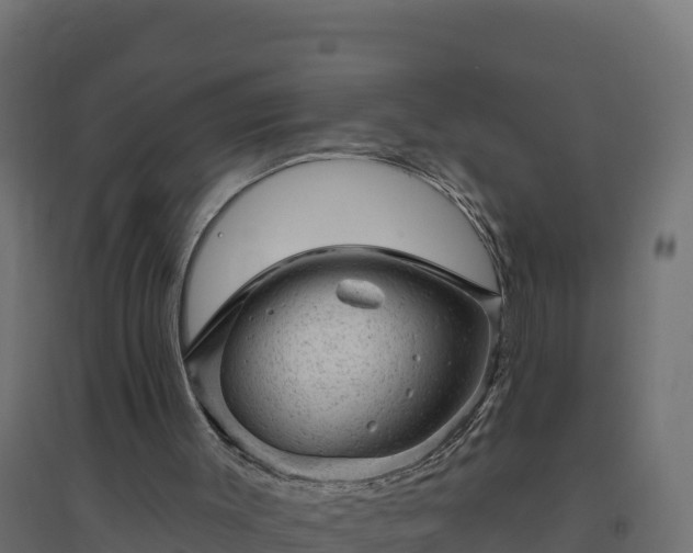 X0000094770003200711241327