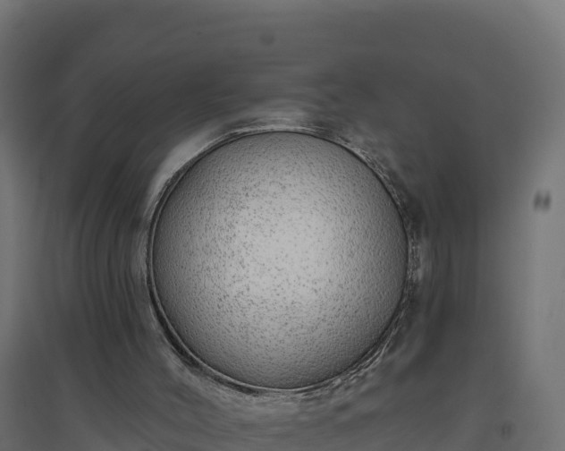 X0000094770004200711241327