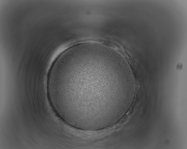 X0000094770006200711241327